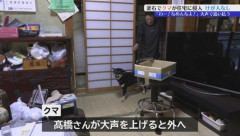 「わぁー！なめんなよーっ！」80歳女性が愛犬を追いかけ侵入してきたクマを大声で撃退