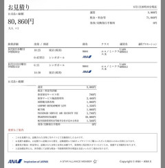 【画像】シンガポール行きの航空券、運賃1万
