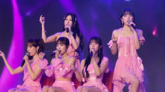 【韓国ネット】 あのKARA日本ファンミ延期は「チケット販売の不振」？＝「世代交代」「むちゃし過ぎ」