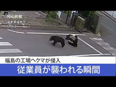 【恐怖】福島の工場にクマ乱入　従業員が襲われる瞬間の映像が公開される