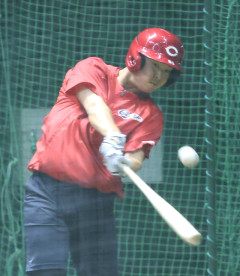 カープ平川蓮、1軍合流！直近5試合で18打数6安打8三振