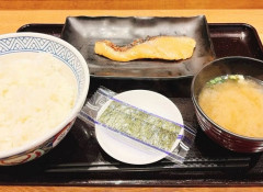 【画像】お客「これが530円？コスパ最強じゃん」吉野家「こういうのが良いんでしょ」