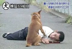「トリビアの泉」で覚えていること