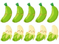 テレビ番組「バナナサンド」が好きな人