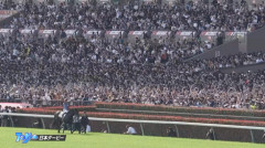 久しぶりに現地観戦したけど今って若い人ばっかだな