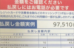【画像】ポストにこんなチラシ入ってたら普通に気になって調べちまうな…