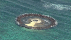 世界「沖ノ鳥島は『岩』」日本「どう見ても『島』！」日本人「（岩だよなぁ）」