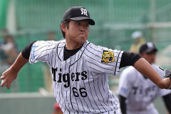 【悲報】元阪神ドラ1広報さん、妻へのDVで書類送検されていた・・・・・・・・・