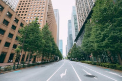 道路上のバカ発見器ｗｗｗｗｗｗｗｗ