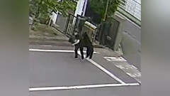 福島で４人を襲ったクマ、なおも電子機器工場内に…麻酔銃やわなでの捕獲試みる