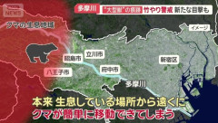 多摩川河川敷に“大型獣”の痕跡　クマの可能性
