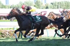 【競馬予想】[2]第76回安田記念(GⅠ) /2026