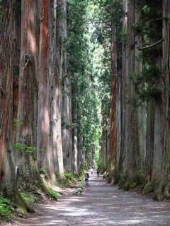 長野県の魅力について、何でも自由に語ろう。