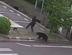 【動画】熊に追いかけられても意外と逃げ切れる説ｗｗｗｗｗｗｗｗｗｗｗ