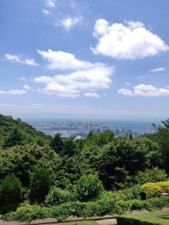 神戸に初めて来た時のワイ「山が近くにあって怖い」