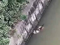 ネコが水路に落ちて弱っていた。このままでは溺れてしまう。何か助ける道具はないか？ → 男はこれを使いました…