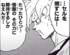 【ドラゴンボール】それにしたってもうちょい方法なかった？