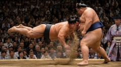 エドモンド本田みたいな日本人力士が出てきたら相撲人気は回復する