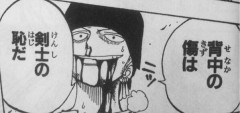 ゾロ「背中の傷は剣士の恥だ」←これｗｗｗｗｗｗｗｗｗｗｗｗ