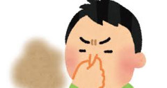 匂いの強いキムチとイチゴを冷蔵庫になるとどうなる？やってみた結果が……