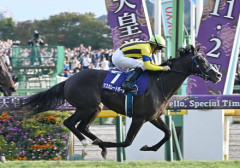 マスカレードボール次走キングジョージ決定
