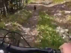 犬といっしょに自転車で走っていた。すると犬がコースをそれた。突然どうしたんだ？ → ファッ！？…