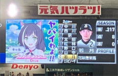 【画像】東京ドームで若月健矢捕手と妻のキャルちゃんが共演ｗｗｗｗｗｗｗｗ