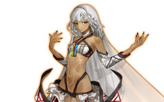 【FGO】アルテラは今後出番がありそうな気がする。フォーリナーでもあるし