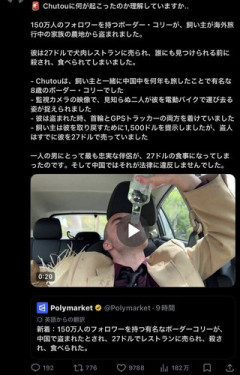 【朗報】フォロワー150万のイッヌさん、凄すぎるｗｗｗｗｗｗｗｗｗｗ