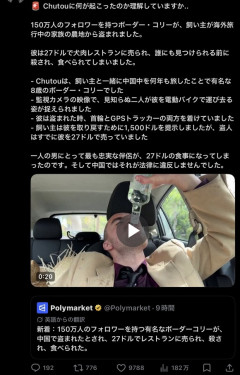 【朗報】フォロワー150万のイッヌ、凄すぎる wwwwwwwww wwwwwwwww