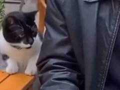 外で食事をしていたら隣にカワイイ子がやってきた。動揺などしない → イケメンは自然にこうします…