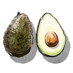 【画像】買ったアボガドなんか変なんだが･･･