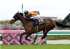 【競馬予想】[4]第76回安田記念(GⅠ) /2026