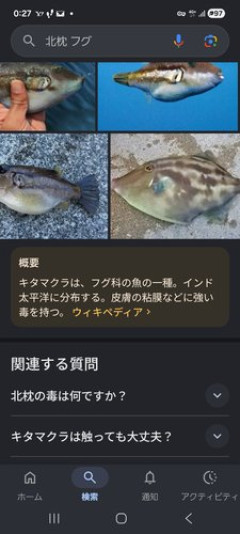 【戦慄】女性さん、局部にフグを入れて死亡してしまう