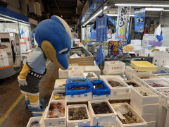 川崎フロンターレが（たぶん）Jリーグ初となる試合会場での鮮魚の「競り」を開催　ふろん太は朝4時起きで市場へ