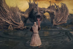 【悲報】エルデンリングのSwitch2版の映像が届くも賛否
