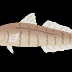 鱚(きす)とかいう天ぷら界で過剰評価されてる魚