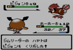 ジョウトのジムリーダーって他地方から来た連中に新しいポケモンを見せてやるぜ！