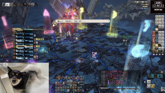 【FF14】日本チーム「Poikos」が絶妖星乱舞P4の嘘グランドクロスを突破して時間切れに到達！