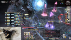 【FF14】日本チーム「Poikos」メンバーのチャット欄隠しの可愛い柴犬画像に犬好きヒカセンの注目集まる「毎日変わるから次の配信がちょっと楽しみ」