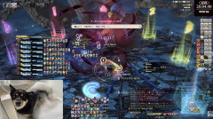 【FF14】日本チーム「Poikos」が絶妖星乱舞P4をほぼミスなしで残り35%まで削るもフェーズ移行なし→あまりにキツすぎるDPSチェックに視聴者たちも絶望
