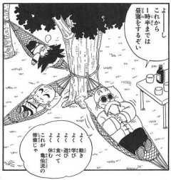 亀仙流の武術のスタイルってどんなのなんや？