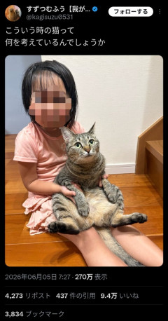 【画像】変な猫、見つかるｗｗｗｗ