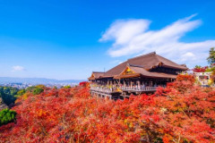 【朗報】京都の衰退が始まった理由