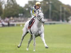 【安田記念】 ガイアフォースは1番人気で勝ち切るような馬とは思えない