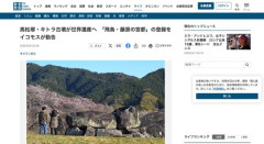 奈良県、高松塚・キトラ古墳などが世界遺産に登録へ