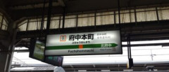 安田記念まったく決まらん　他
