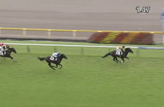 【2歳新馬】ジョドレルバンク（父エフフォーリア）武井師「負ける要素はない」