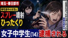 女子中学生(14)、顔面にスプレー噴射しひったくりして逮捕される