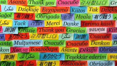 海外「お前らの言語から世界共通語になった言葉は？」日本「」